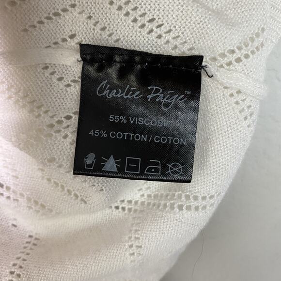 Charlie Paige Cream Knit Sheer Pullover Sweater L/XL Boho Geometric Neutral - Picture 7 of 8